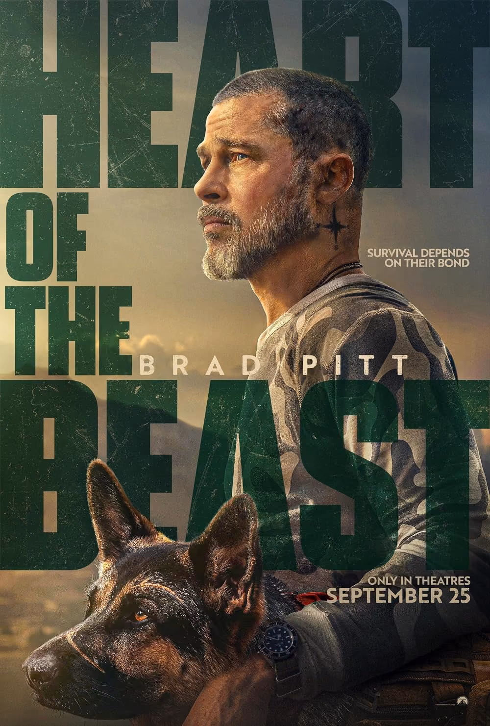 A poster image of a movie